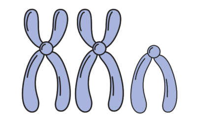 Conhecendo melhor a síndrome de Klinefelter