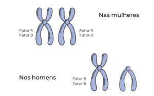 localização dos genes de hemofilia
