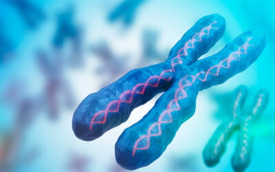 Como saber se o exame de cariótipo está normal ou alterado?